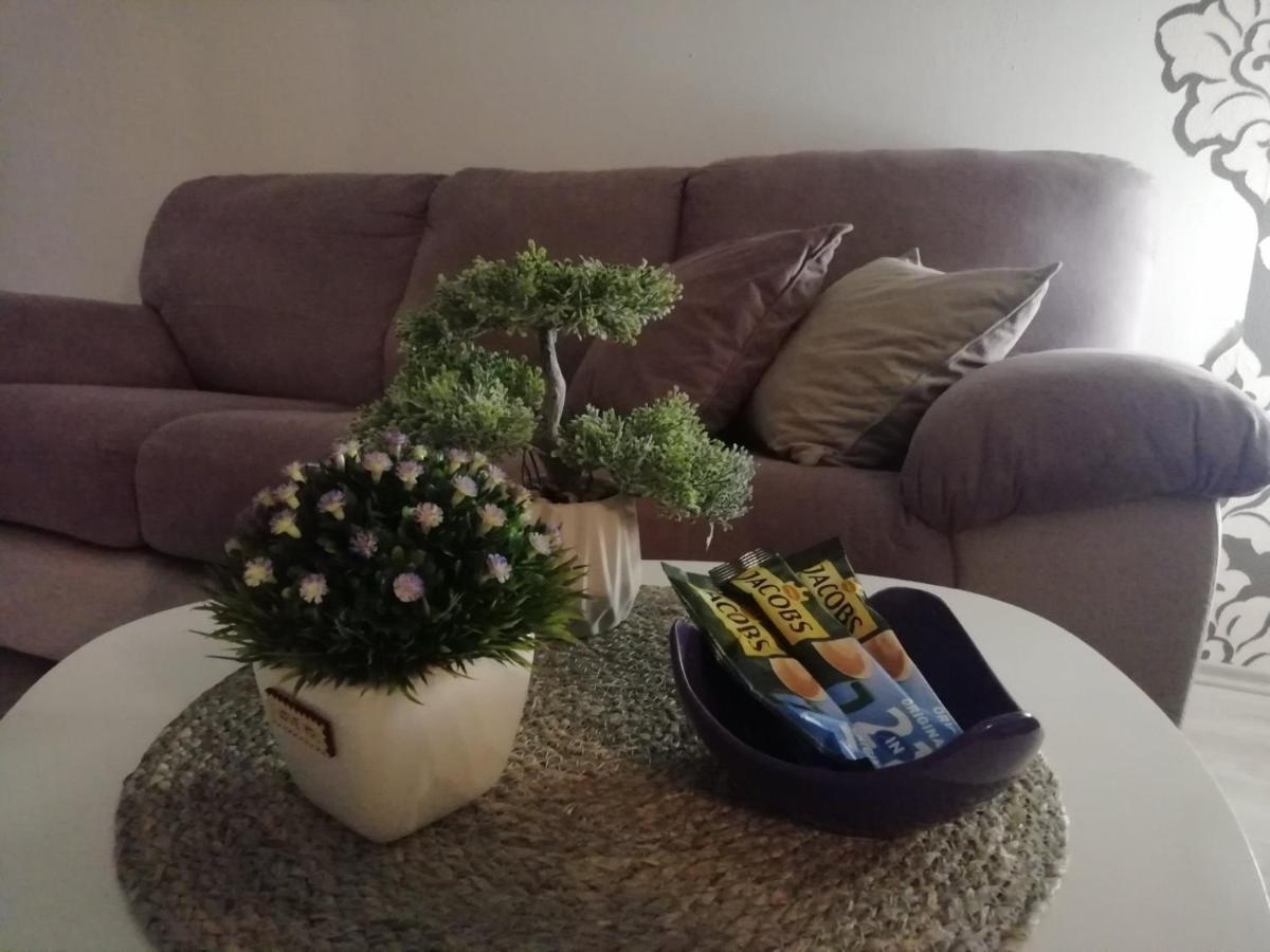 Apartment Green Free Private Parking Νόβι Σαντ Εξωτερικό φωτογραφία