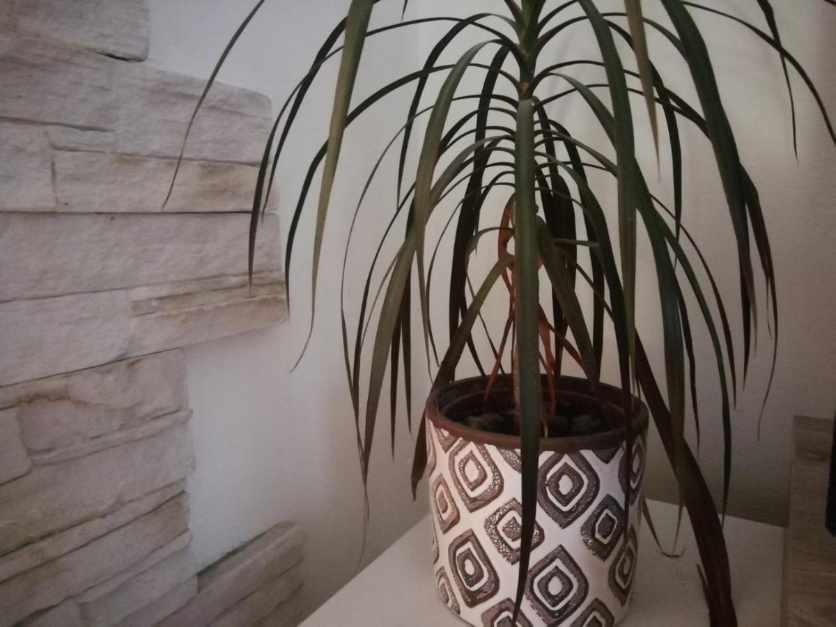 Apartment Green Free Private Parking Νόβι Σαντ Εξωτερικό φωτογραφία